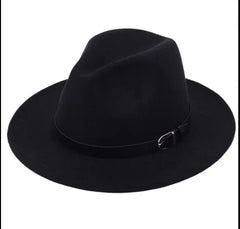 Image & Stylez LLCFedora HatsFedora HatsClassic British Fedora Hats 
One(1) Size Five(5) Different ColorHats