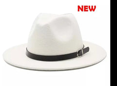 Image & Stylez LLCFedora HatsFedora HatsClassic British Fedora Hats 
One(1) Size Five(5) Different ColorHats