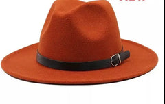 Image & Stylez LLCFedora HatsFedora HatsClassic British Fedora Hats 
One(1) Size Five(5) Different ColorHats